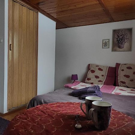 Home Stay Slotwinska クリニツァ・ズドルイ エクステリア 写真
