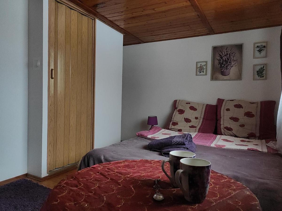 Home Stay Slotwinska クリニツァ・ズドルイ エクステリア 写真